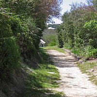 trail_north_of_middle_road